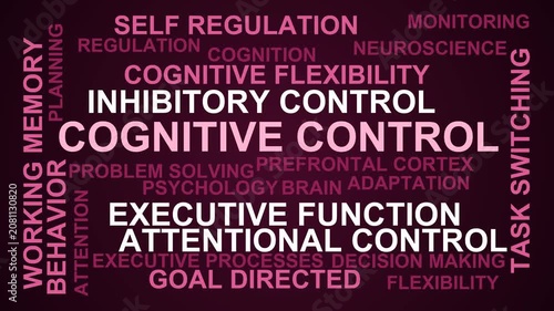 Cognitive Control Word Cloud