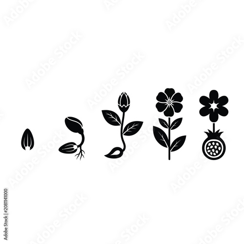 Black and white flower icons.