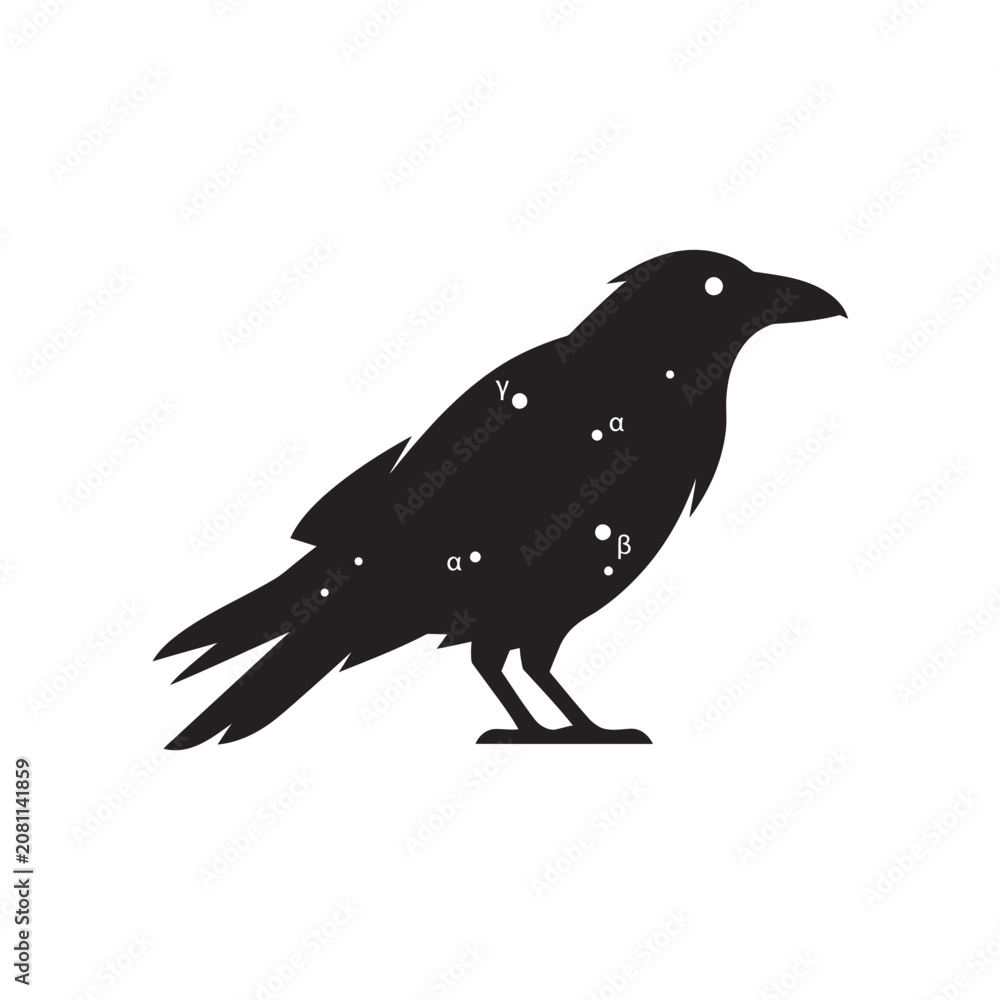 Fototapeta premium Black bird silhouette with celestial star constellation and symbols