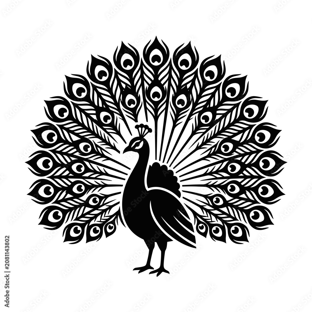 Fototapeta premium Elegant peacock displaying colorful feathered tail silhouette graphic design