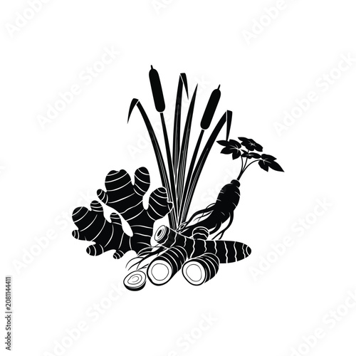 Foto Black silhouette of cattails plant.
