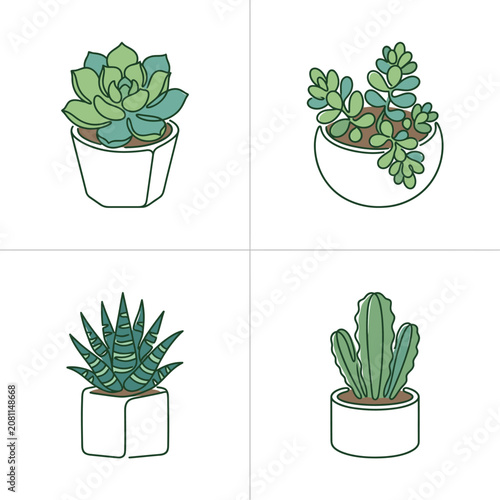 Illustrated Collection of Potted Succulent Plants.