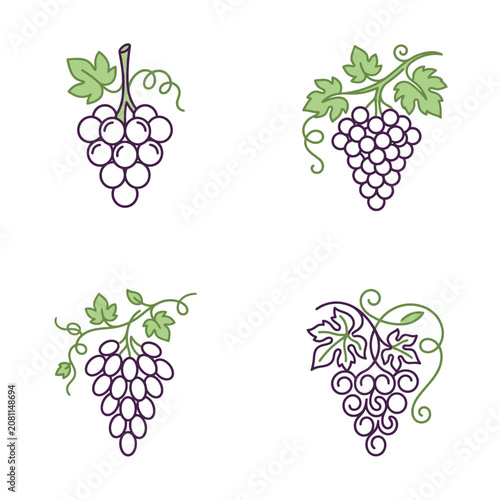 Illustrated Grape Clusters with Green Leaves and Vines.