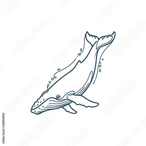 Illustrated Humpback Whale Breaching in Ocean Scene.