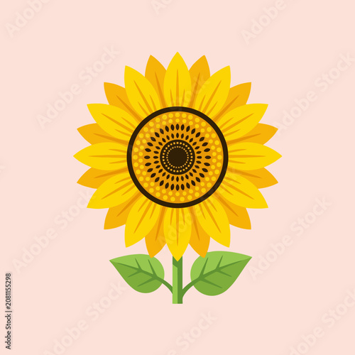A vibrant yellow sunflower illustration on pink