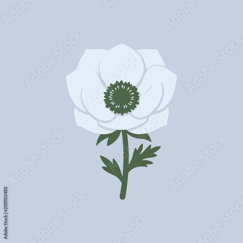 A simple white anemone flower illustration on blue