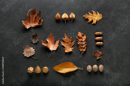 Beautiful autumn leaves wit...