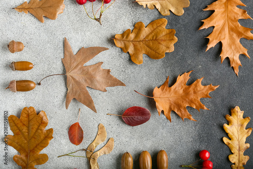 Beautiful autumn leaves wit...
