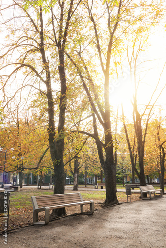 View of autumn park with tr...