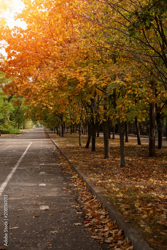 View of street with trees a...