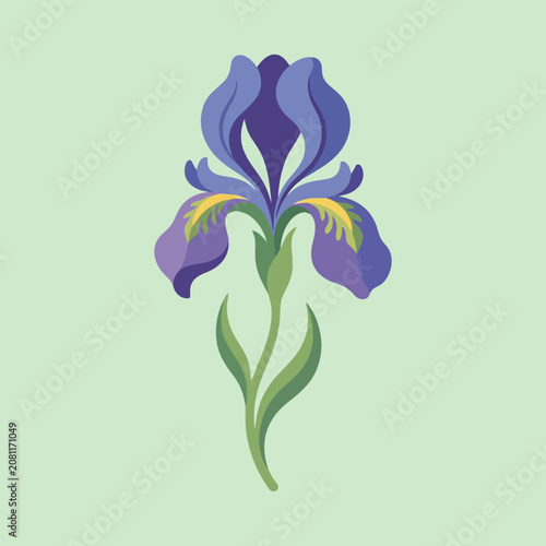 A beautiful purple iris flower isolated on a light green background