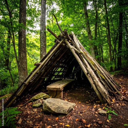 A makeshift shelter constructed from branches in a forest clearing