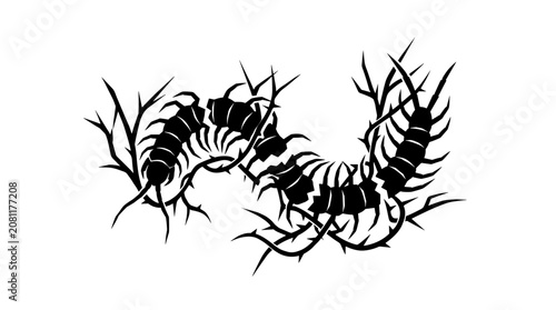 Stylized black vectorized centipede illustration with intricate details for graphic design