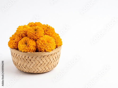 Fresh vibrant orange marigold flowers in a woven bamboo basket isolated on white background with copy space for Indian festival decoration and floral advertising