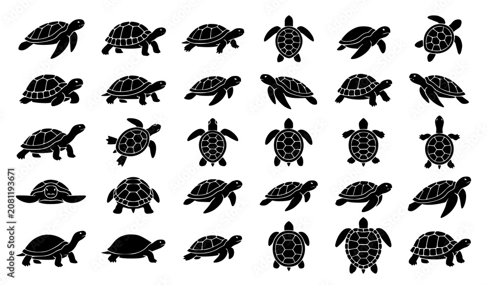 Fototapeta premium Professional Black Turtle Symbol and Silhouette Vector Pack with Various Turtle Styles