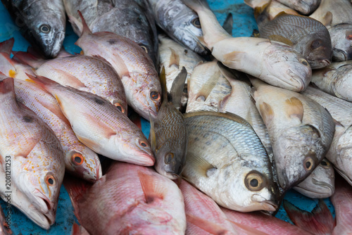 Colorful Fresh Fish Display for food, fish concept