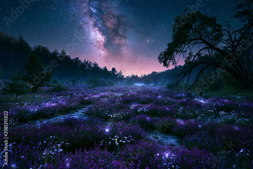 wildflower field beneath the Milky Way, moonlight softly illuminating blossoms, photorealistic astrophotography.
