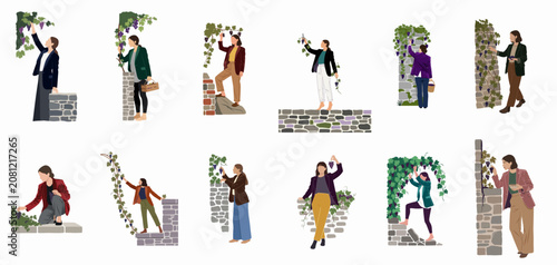 Set of flat vector illustrations showing women harvesting purple grapes from vines growing on stone walls.