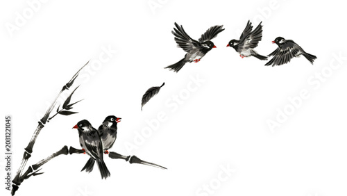 Foto Five black birds flying and perched on branches in nature Vector
