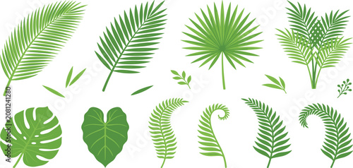 Exotic jungle greenery collection featuring monstera deliciosa banana leaves and rainforest fern fronds vector set