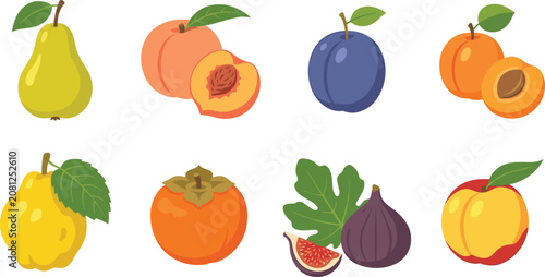 Colorful Fresh Fruit Vector Collection Featuring Pear Peach Plum Apricot Persimmon Fig and Apple Illustrations