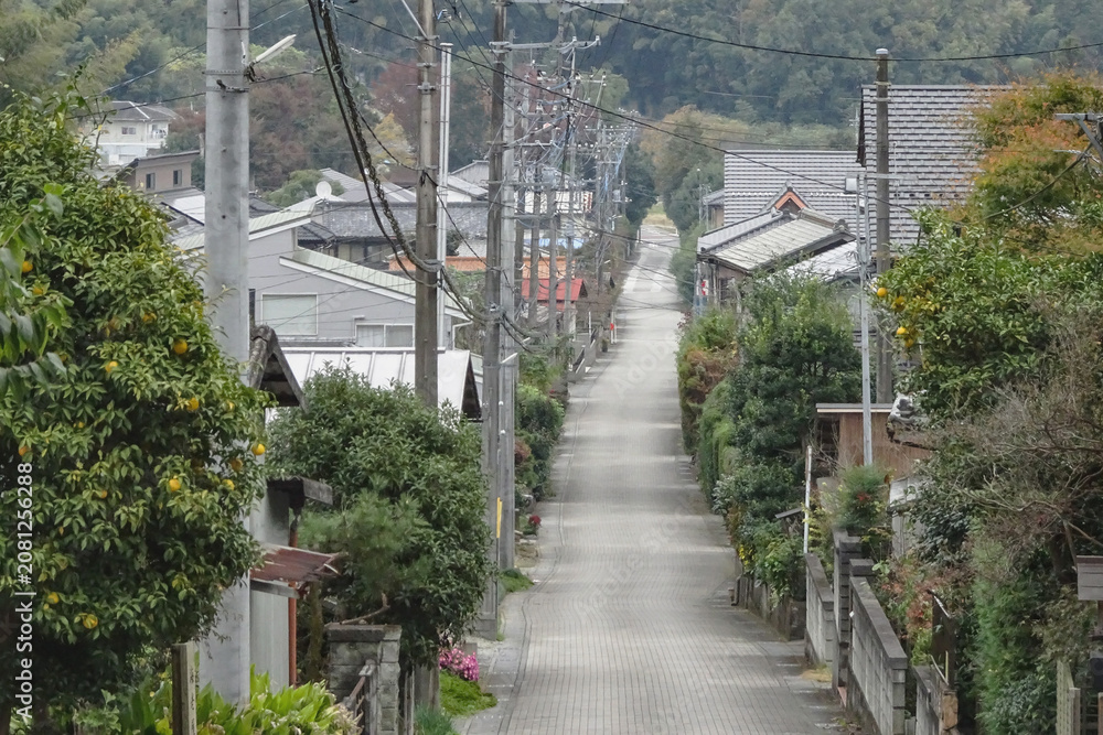Naklejka premium 日本：岩殿観音 正法寺／寺から見る参道と門前町／埼玉県東松山市