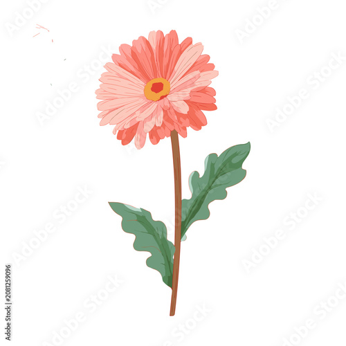Pink Gerbera Daisy Vector Illustration