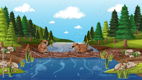 Two Beavers Building a Wooden Dam Across a Forest River