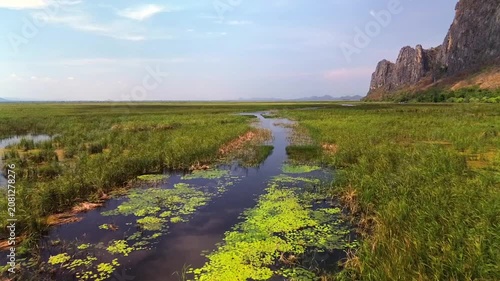 a drone flying over a lake overgrown with bushes