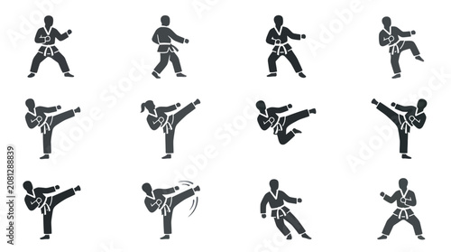 Quadro su tela Martial arts poses and kicking techniques.