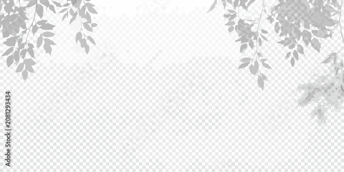 Tableau sur toile soft shadows of plant leaves on transparent background shadow nature botanical g