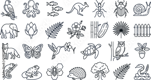 Photography Set of black linear icons with wild animals and flora elements on white background