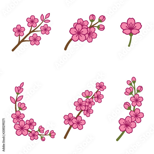 A collection of hand drawn pink cherry blossom flower elements
