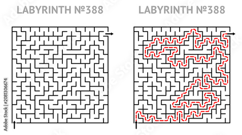Solved maze vector 21x21 with answer. Labyrinth game grid for teens. Maze challenge with answers. Medium level.