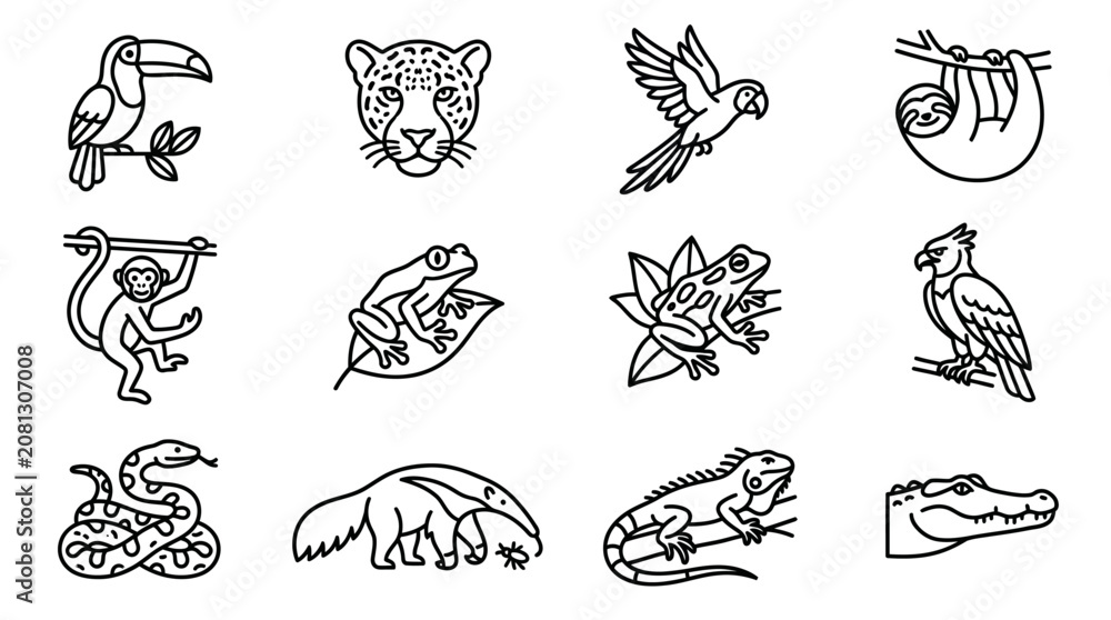 Fototapeta premium Amazon Rainforest Animals Icon Set: Toucan, Jaguar, Parrot, Sloth, Monkey, Frogs, Eagle, Snake, Anteater, Iguana, Crocodile