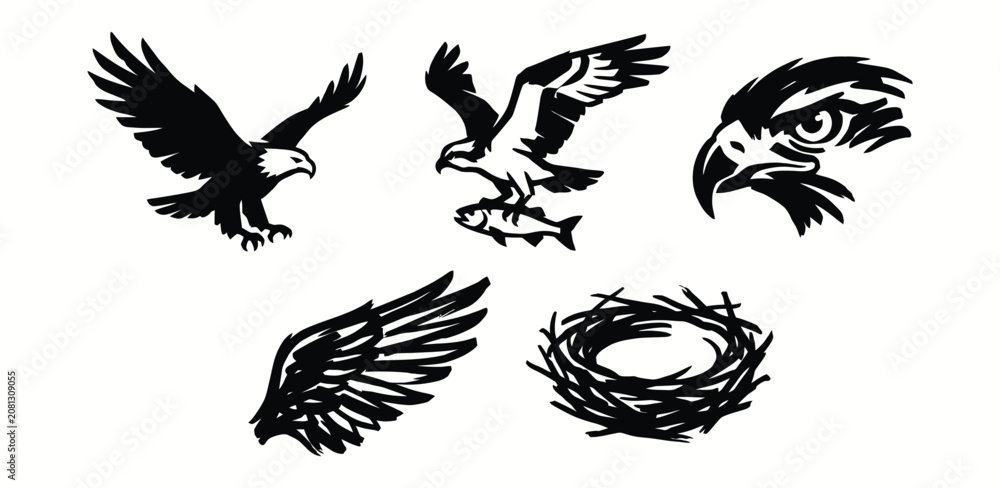 Obraz premium Eagle and wildlife ink brush illustrations for brand identity and logo design