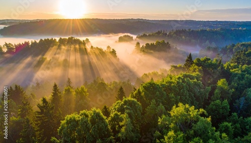 Sunbeams pierce through the morning mist over a lush green forest.