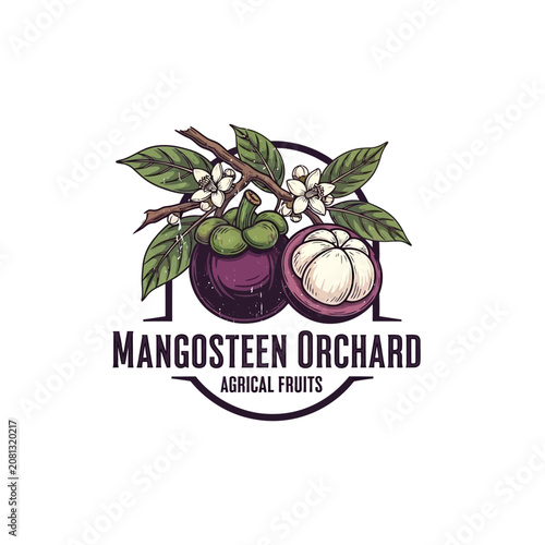 Schilderij op canvas Mangosteen Orchard emblem with tropical fruit and flowers.