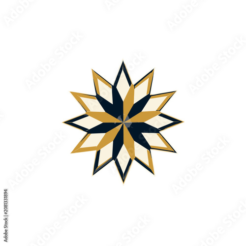 Symmetrical Geometric Star Vector Design