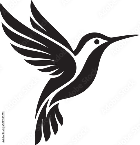 Black hummingbird flying with spread wings