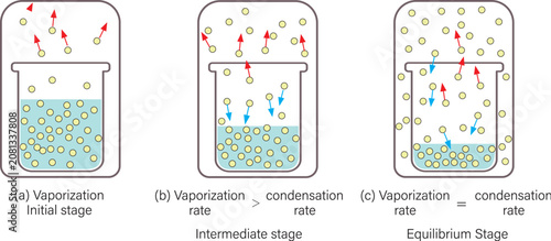 Foto Dynamic Equilibrium in a Closed System Chemistry Vector Illustration