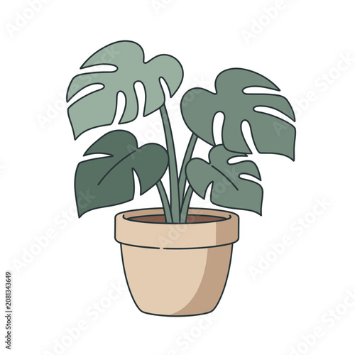 Monstera Plant in Pot Flat Vector Illustration