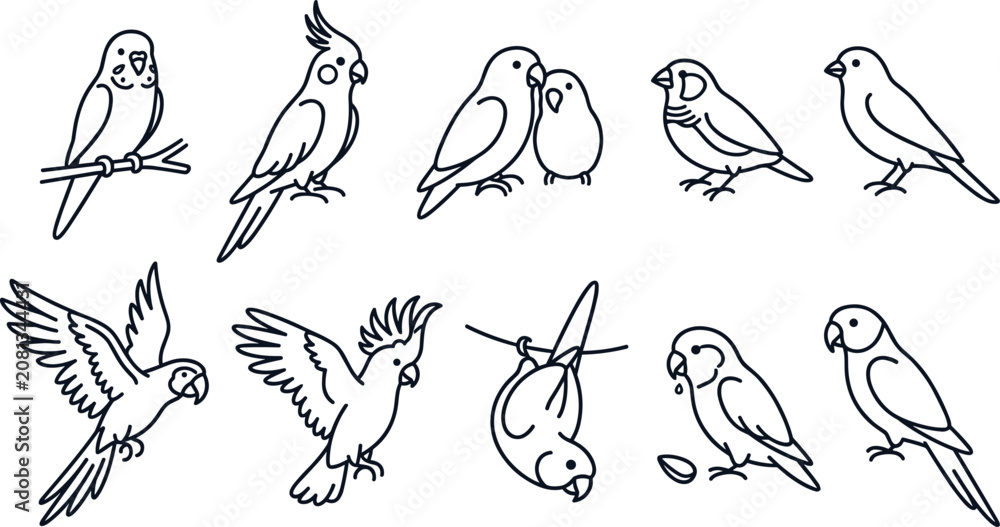 Fototapeta premium Parrot and Pet Bird Line Art Collection Featuring Budgerigar Cockatiel Lovebird Parakeet and Flying Avian Outline Illustrations for Animal Design