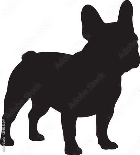 Foto Black silhouette of a standing dog with erect ears