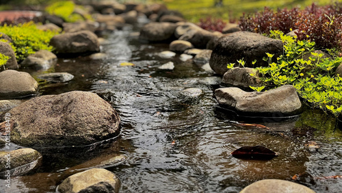 A tranquil artificial stream flows over natural stones, surrounded by small plants. Colorful koi fish swim freely, creating a harmonious garden scene that blends human design with nature. Perfect for 