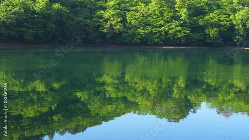 山あいの湖畔に広がる初夏の風景、湖面のせせらぎと新緑が心地よい自然の情景