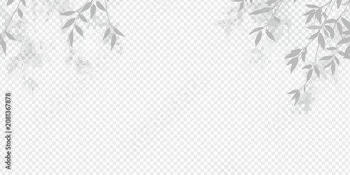 Tableau sur toile soft shadows of plant leaves on transparent background shadow gray silhouette na