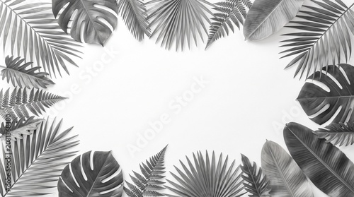 Minimal Gray Tropical Leaves Frame on White Background with Elegant Botanical Border and Copy Space