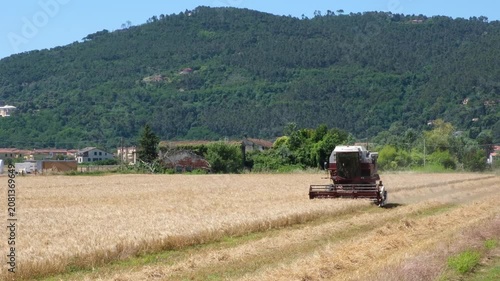 Combine harvester harvesting a golden grain field in rural Italy with green mountains in the background, concept of food production, sustainable agriculture and food security.