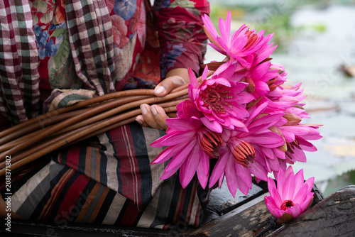 Foto Water lilies in Siem Reap, Cambodia
